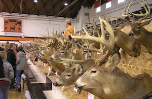 Deer Registration Elmwood IL